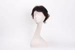 Fashion wigs