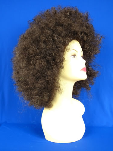 ���ļٷ�,fashion wigs