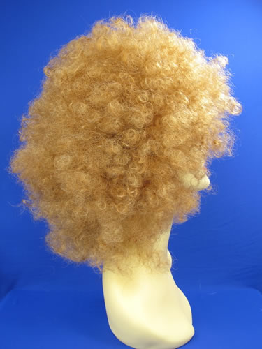 ���ļٷ�,fashion wigs