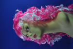 costume   wigs