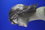 costume   wigs