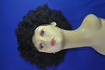 costume   wigs