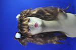 costume   wigs