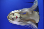costume   wigs