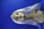 costume   wigs