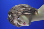 costume   wigs
