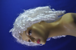 costume   wigs