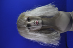 costume   wigs
