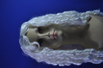 costume   wigs