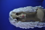 costume   wigs