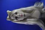 costume   wigs