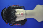 costume   wigs