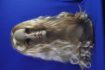 costume   wigs