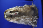 costume   wigs