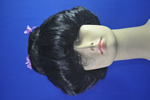 costume   wigs