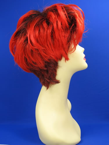 16. ʱ������,2,costume wigs