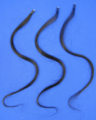 16. ʱ,5,European wigs