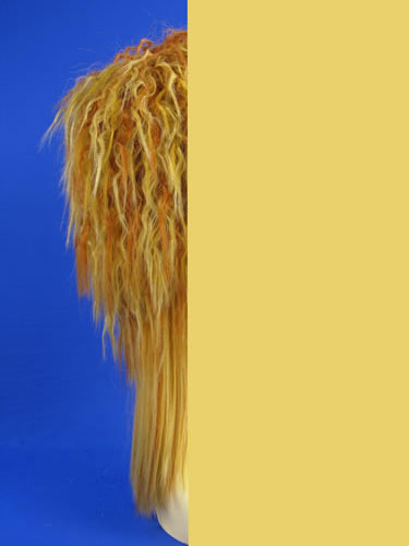 16. ʱ,Carnival wigs
