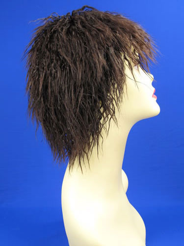 16. ʱ,Carnival wigs