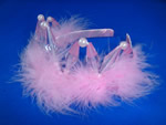 Hair ornaments