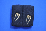 Hair ornaments