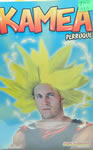 Wigs