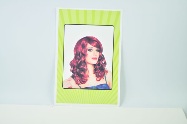 Carnival wigs,Carnival wigs
