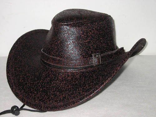 Cowboy hat,Cowboy hat