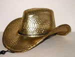 Cowboy hat