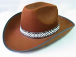 Cowboy hat