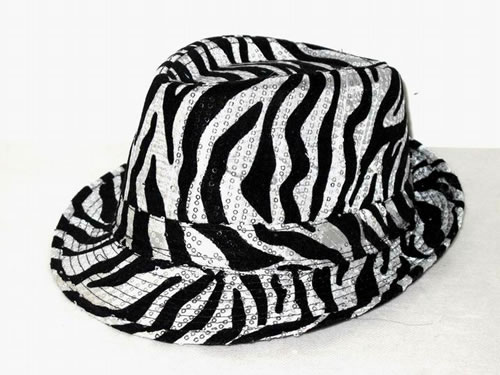 Fedora hat,Fedora hat