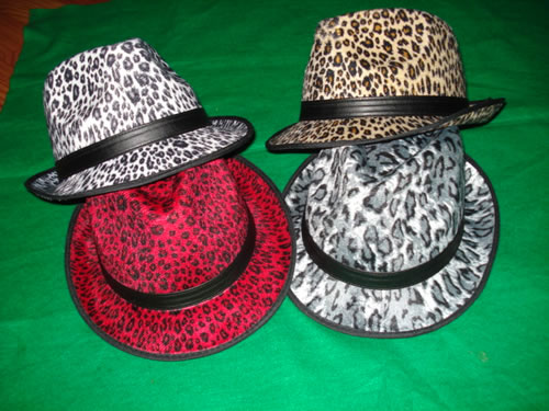 Fedora hat,Fedora hat