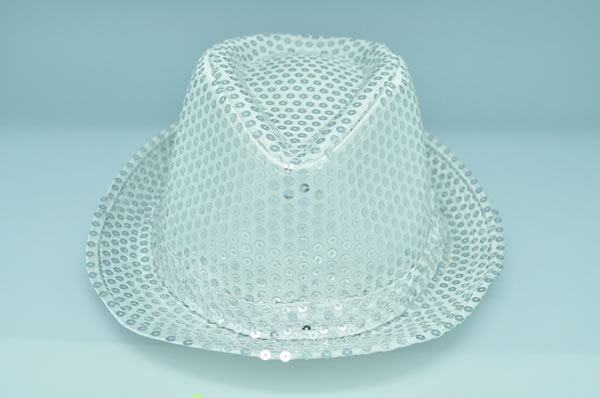 Fedora hat,Fedora hat