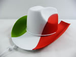 Flag hat