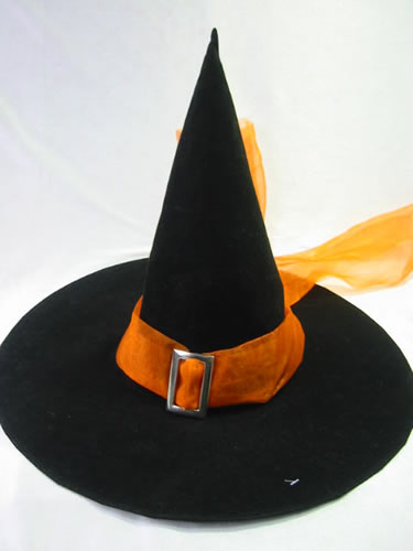 Witch hat,Witch hat