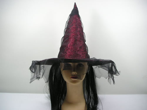 Witch hat,Witch hat