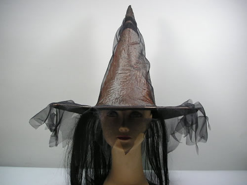 Witch hat,Witch hat