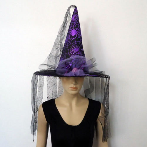 Witch hat,Witch hat
