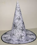 Witch hat