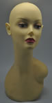 Mannequin head